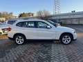 BMW X1 xdrive20d Eletta Blanc - thumbnail 13