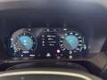 Volkswagen Amarok Style DC 3.0 TDI *AUTOM. *4MOTION Grau - thumbnail 10