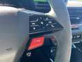 Audi RS3 Audi RS 3 Sportback Grün - thumbnail 30