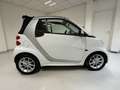 smart forTwo fortwo 1000 52 kW MHD cabrio passion Bianco - thumbnail 15