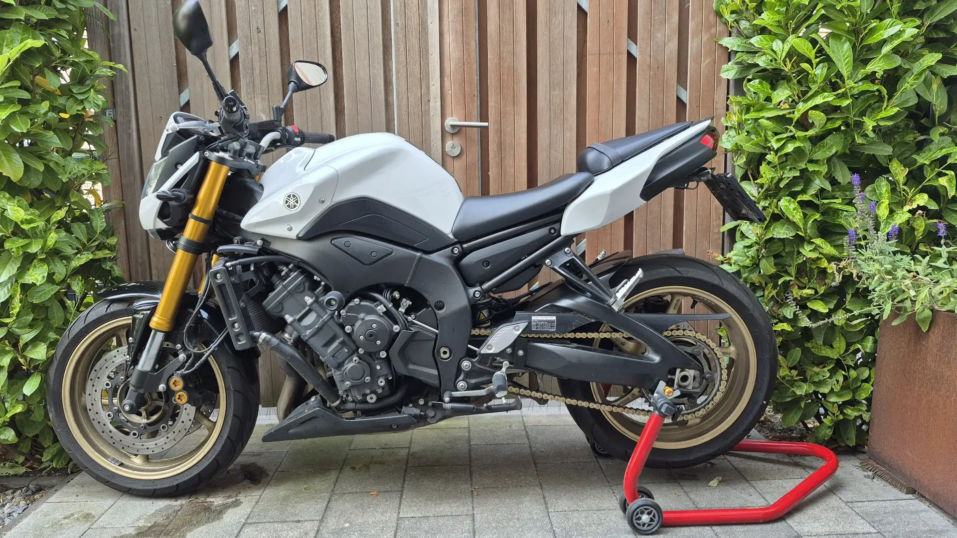 Yamaha FZ 8 Naked - ABS - Akrapovic - Handvatverwarming Blanc - 2