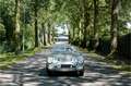 AC Sonstige Bristol roadster S0256 - M1230 Silber - thumbnail 10