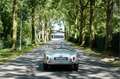 AC Sonstige Bristol roadster S0256 - M1230 Silber - thumbnail 5
