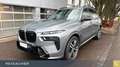 BMW X7 M60i xDrive A SkyLou,AHK,Standh,Sitzbelü Grau - thumbnail 1