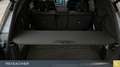 BMW X7 M60i xDrive A SkyLou,AHK,Standh,Sitzbelü Grau - thumbnail 10