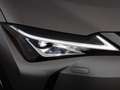 Lexus UX 250h Business Aut LED NAVI LEDER R-CAM TEMP Beige - thumbnail 10