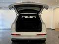 Audi Q7 PHEV e-tron 3,0 TDI Quattro Tiptronic**MATRIX**PA Weiß - thumbnail 46