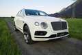 Bentley Bentayga 3.0 Hybrid 4WD/Centenary Edition 23300km Білий - thumbnail 3