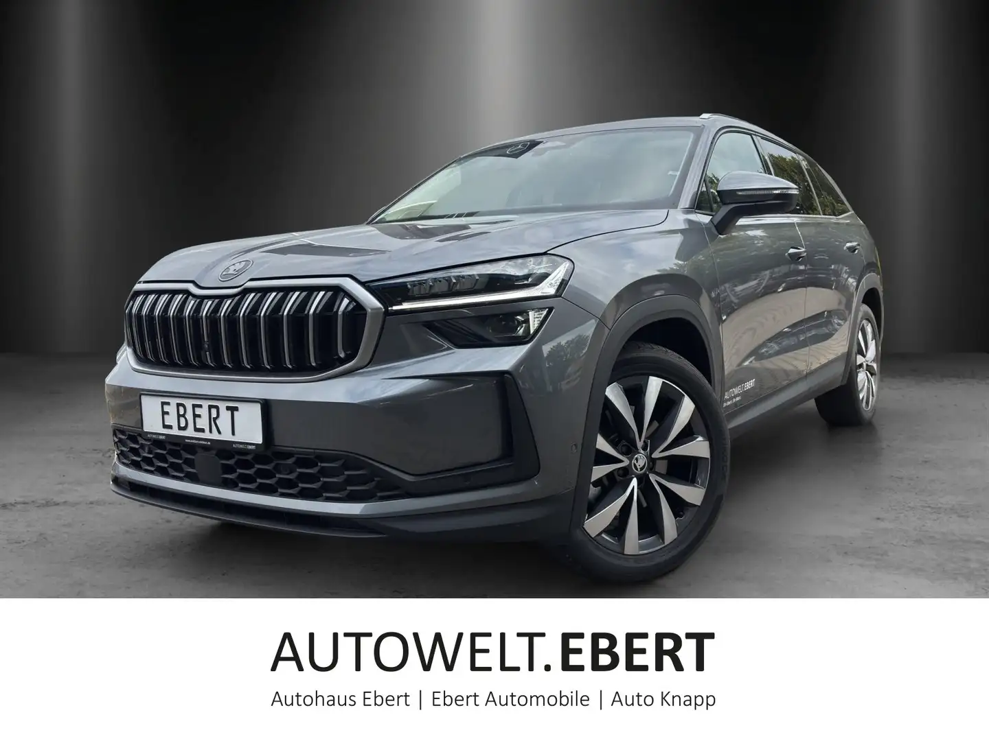 Skoda Kodiaq Selection 2,0 TDI 142 kW DSG 4x4 Grau - 1