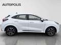 Ford Puma 1.0 ST-Line Design Weiß - thumbnail 16