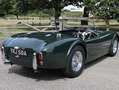 AC Cobra 289 Groen - thumbnail 7