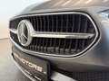Mercedes-Benz C 200 d T *LED-HIGH-PERFORMANCE*LANE*KAMERA*TOTW.* Grau - thumbnail 9