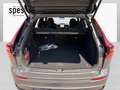 Volvo XC60 Plus, T6 AWD Plug-in Hybrid, Elektrisch/Benzin, Dark Grün - thumbnail 12