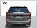 Volvo XC60 Plus, T6 AWD Plug-in Hybrid, Elektrisch/Benzin, Dark Grün - thumbnail 6