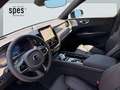 Volvo XC60 Plus, T6 AWD Plug-in Hybrid, Elektrisch/Benzin, Dark Grün - thumbnail 7