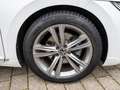 Volkswagen Arteon R-Line 2.0 TDI 4M DSG AHK Weiß - thumbnail 9