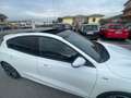 Ford Focus Active 1.0 ecoboost h X s&s 155cv my20.75 Bianco - thumbnail 5