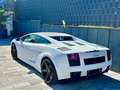 Lamborghini Gallardo V10 E-GEAR-LIFT-EINZELSTÜCK-DEUTSCH Weiß - thumbnail 12