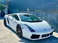 Lamborghini Gallardo V10 E-GEAR-LIFT-EINZELSTÜCK-DEUTSCH Weiß - thumbnail 18