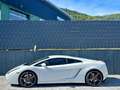 Lamborghini Gallardo V10 E-GEAR-LIFT-EINZELSTÜCK-DEUTSCH Weiß - thumbnail 10