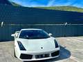Lamborghini Gallardo V10 E-GEAR-LIFT-EINZELSTÜCK-DEUTSCH Weiß - thumbnail 15