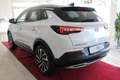 Opel Grandland Ultimate *MEMORY*360 KAMERA*SITZBELÜFTUNG*AHK* Wit - thumbnail 3