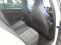 Volkswagen Golf GTE VIII 1.5 TSI DSG eHybrid GTE Navi IQ.Light Weiß - thumbnail 4