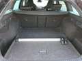 Skoda Octavia Combi 2.0TDI Sport DSG 110kW Negro - thumbnail 9