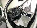 Ford Transit Custom 330 L2H2*KTW*RTW*KRANKENTRANSPORT Wit - thumbnail 19
