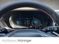 Volkswagen Amarok 3.0 TDI PanAmericana 4Motion AHK LEDER Grau - thumbnail 12
