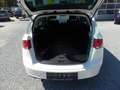 SEAT Altea XL 4You Automatik, Klima, Navi, Sitzheizung, Білий - thumbnail 16