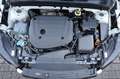 Volvo XC40 B5 AWD Plus Dark Theme/PANO/ACC/HK/RFK/R20 White - thumbnail 20