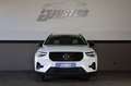 Volvo XC40 B5 AWD Plus Dark Theme/PANO/ACC/HK/RFK/R20 White - thumbnail 2