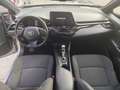Toyota C-HR C-HR GARANZIA UFFICIALE 1.8h Business 2wd cvt Argent - thumbnail 11