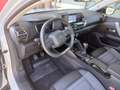 Citroen C4 PureTech 130 S&S 6-Gang-Manuell Plus Blanc - thumbnail 12