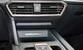 CUPRA Formentor 2.0 TSI DSG 4Drive VZ COPPER PANO*AHK*MATRIX*VI... Nero - thumbnail 13