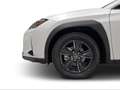 Lexus UX 300h 2.0 Plus Blanc - thumbnail 10