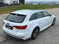Audi A4 quattro sport s-line 2,0TDI s-tronic/3xS-LINE/PANO Weiß - thumbnail 10