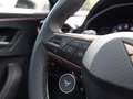 CUPRA Formentor VZ 2.0 TSI 4x4 // KAMERA DISTR SPUR Blau - thumbnail 20