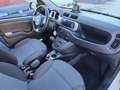 Fiat Panda Cross 1.3 MJT 95 CV S&S 4x4 Weiß - thumbnail 10