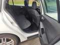 Ford Focus Cool Bianco - thumbnail 15