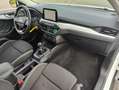 Ford Focus Cool Bianco - thumbnail 19