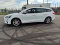 Ford Focus Cool Bianco - thumbnail 3