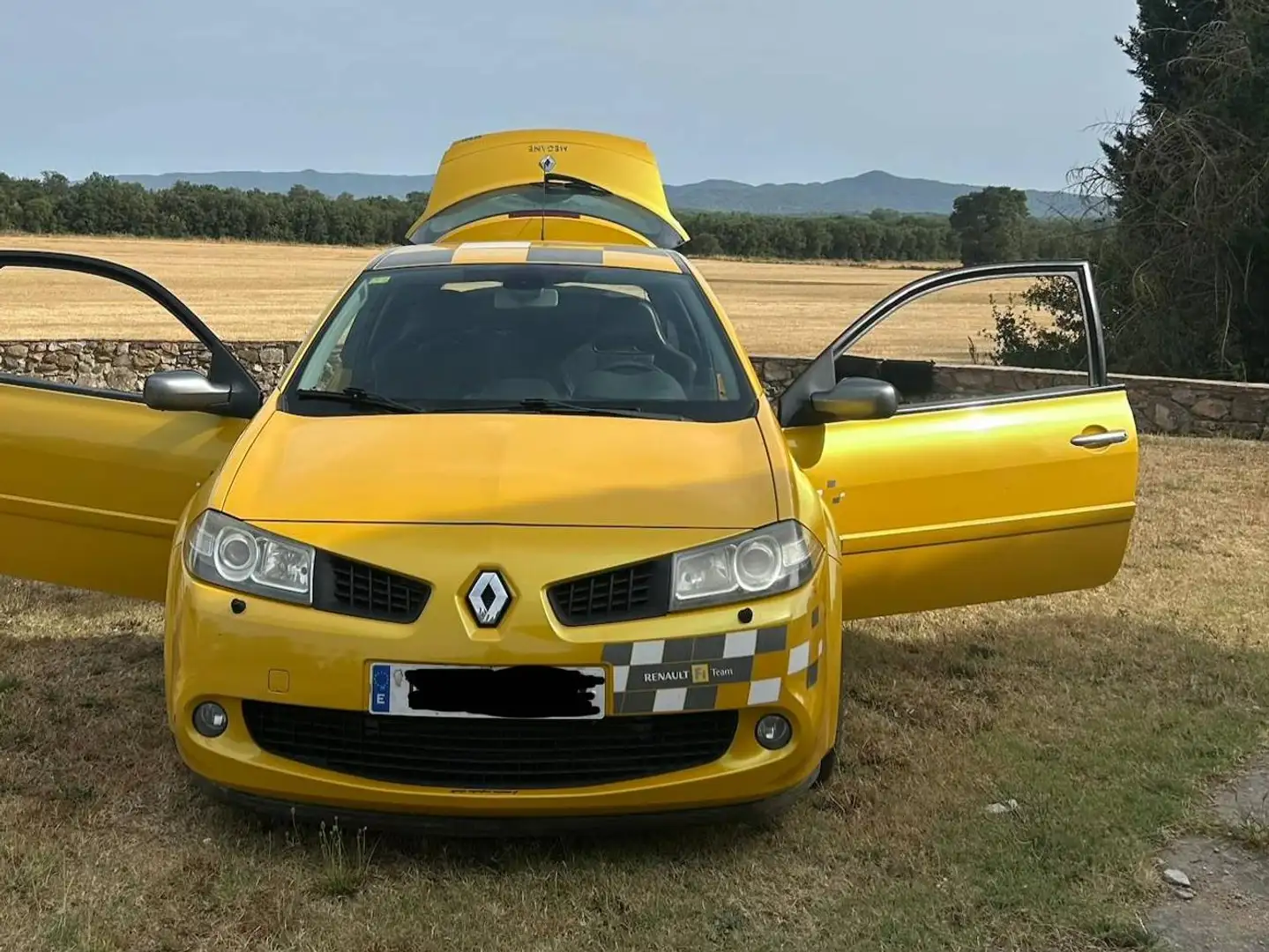 Renault Megane Renault Megane II RS F1 Team R26 2.0 Turbo 230 CV Amarillo - 2