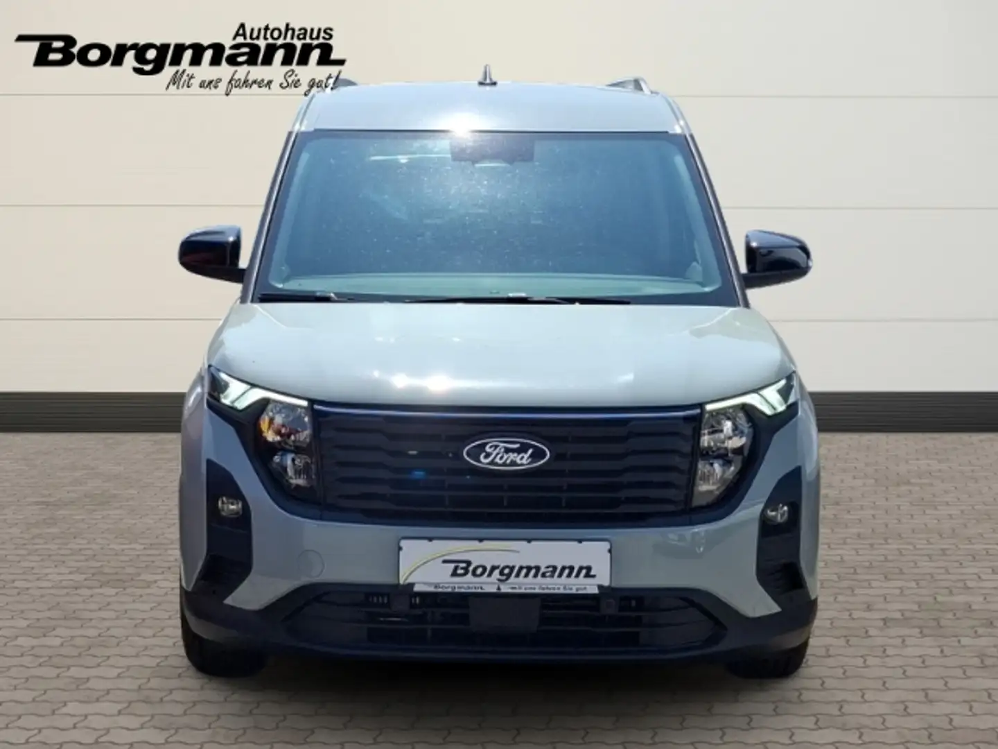 Ford Tourneo Courier Titanium 1.0 EcoBoost EU6e Gris - 2