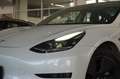 Tesla Model 3 Standard Range Plus NAVI/KAMERA/SH/PANO Weiß - thumbnail 4