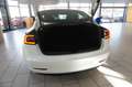 Tesla Model 3 Standard Range Plus NAVI/KAMERA/SH/PANO Weiß - thumbnail 11