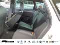 CUPRA Leon Sportstourer 1.5 eTSI DSG EL. HECKKL. NAVI KAMERA Weiß - thumbnail 8