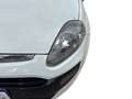 Fiat Punto Evo Punto Evo 5p 1.2 Dynamic s&s Bianco - thumbnail 10