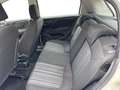 Fiat Punto Evo Punto Evo 5p 1.2 Dynamic s&s Bianco - thumbnail 13